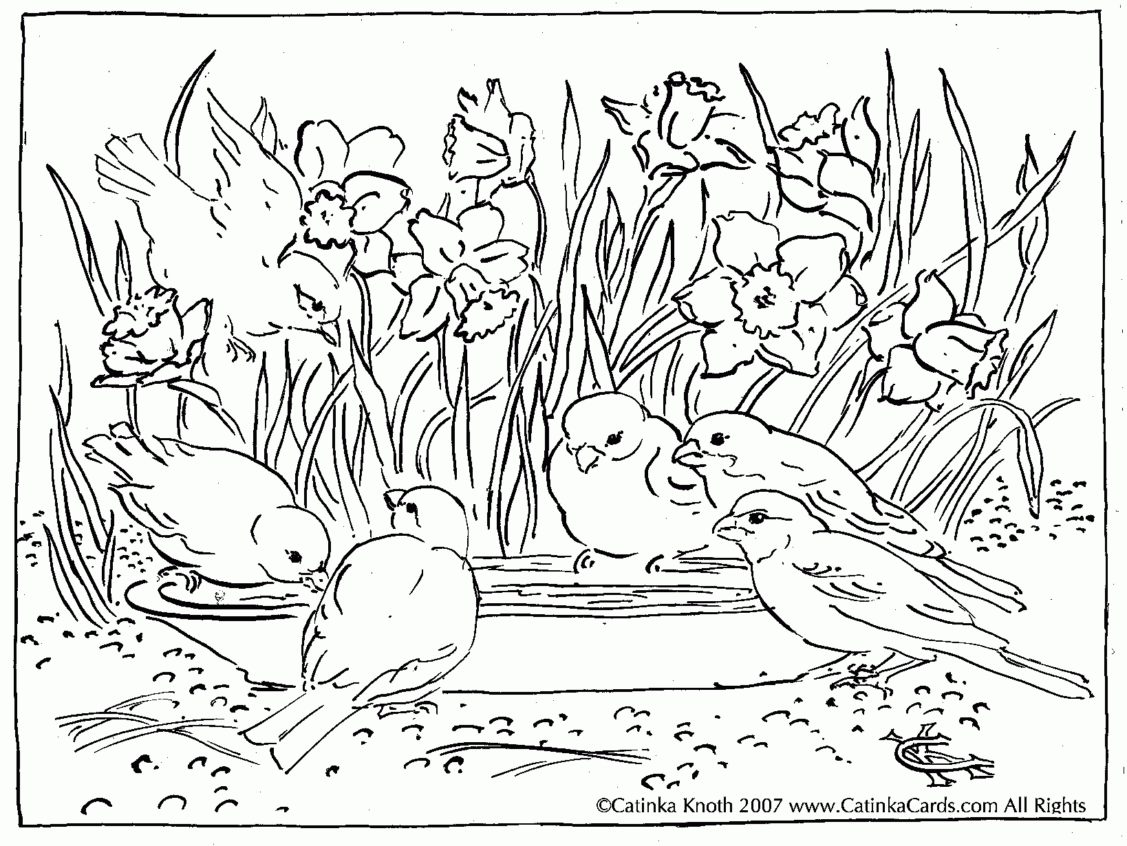 1638x1230 Printable Adult Coloring Page Petunias Free Coloring Pages Download