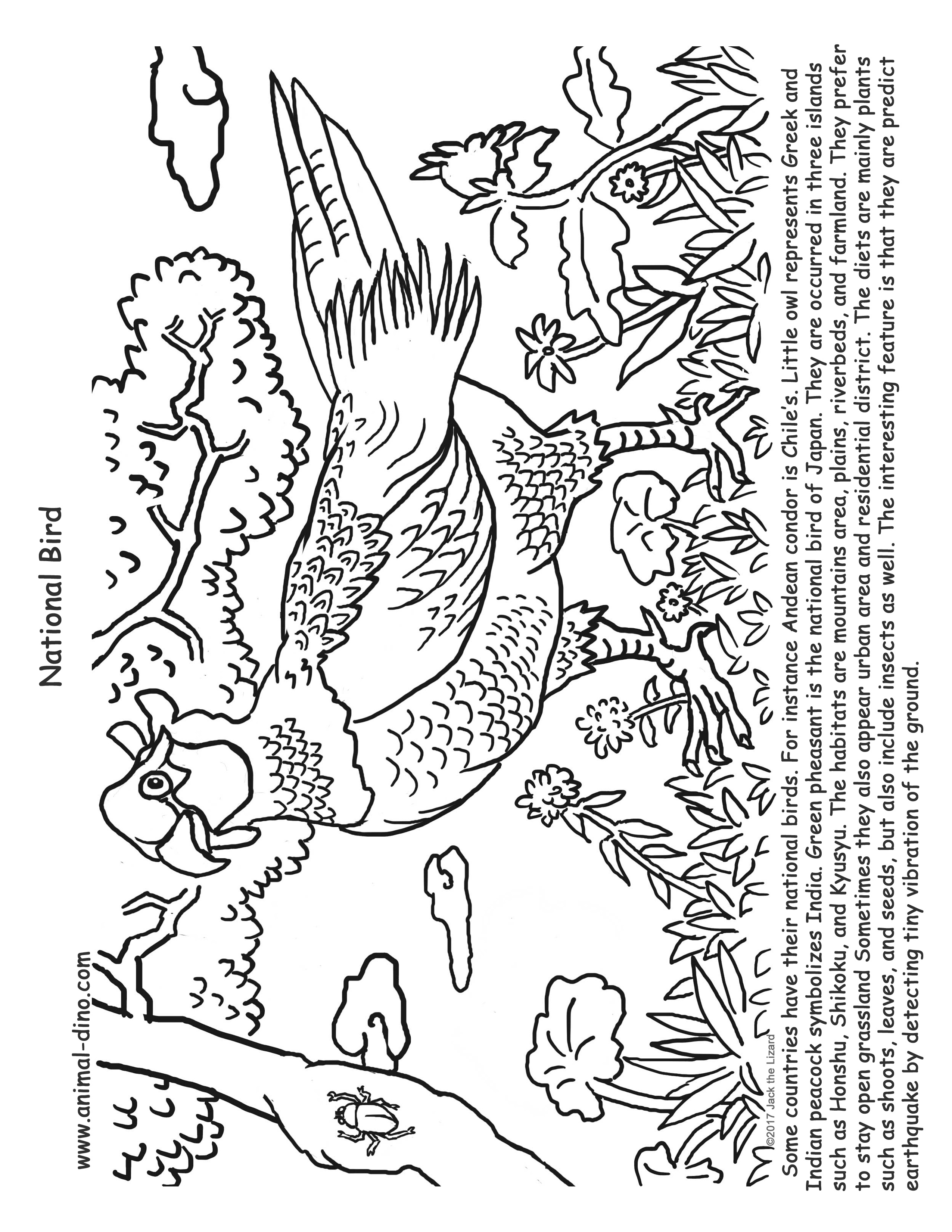 2550x3300 Animal Coloring Page