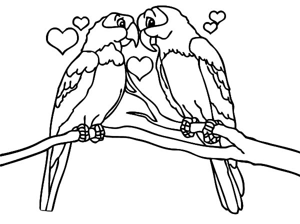 600x448 Birds Coloring Pages