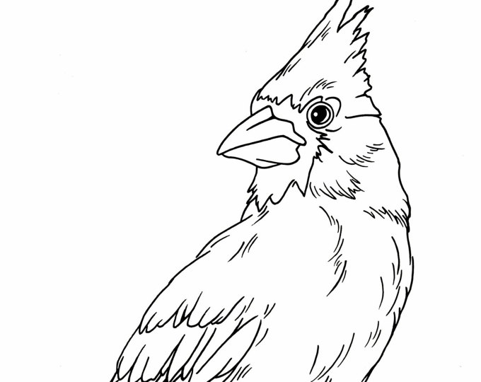 680x540 Coloring Pages