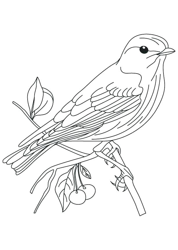 613x860 Coloring Pages Birds Flying Free Coloring Pages Birds Coloring