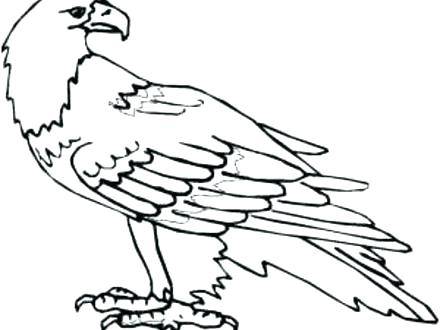 440x330 Eagles Coloring Pages Eagles Football Logo Coloring Pages