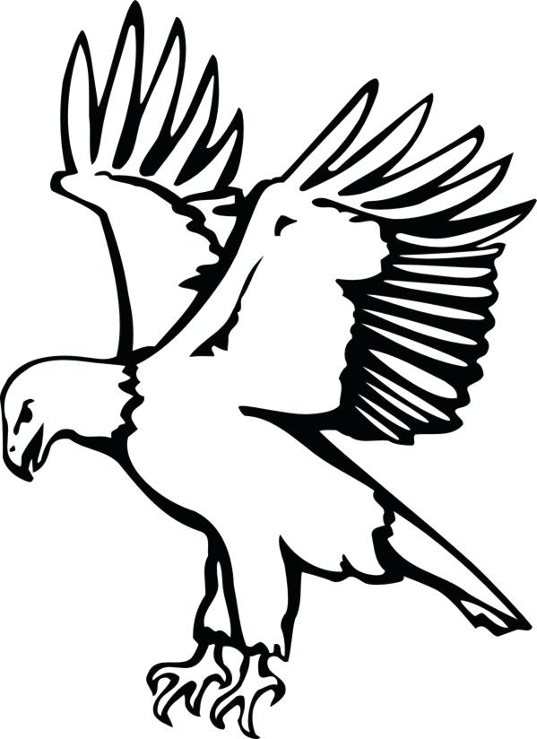 599x824 Philadelphia Eagles Coloring Pages Eagle Coloring Sheets