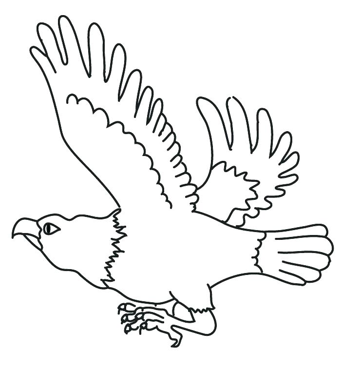 700x800 Philadelphia Eagles Coloring Pages Eagles Coloring Pages Eagles