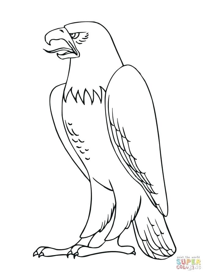 671x895 Philadelphia Eagles Coloring Pages Medium Size Of Coloring Pages