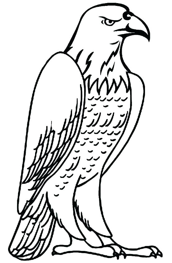 554x850 Top Free Printable Eagles Coloring Pages Eagles Coloring Pages