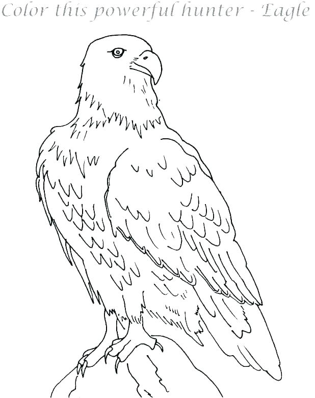 618x780 Coloring Pages Of Eagles Eagles Coloring Pages Logo Free Printable