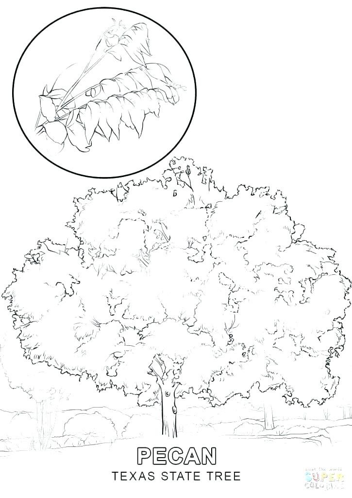 725x1024 Us Symbols Coloring Pages Patriotic Coloring Pages Remarkable