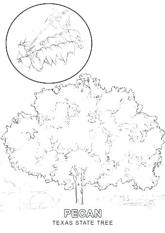 340x480 Us Symbols Coloring Pages Us Symbols Coloring Pages Flag Coloring