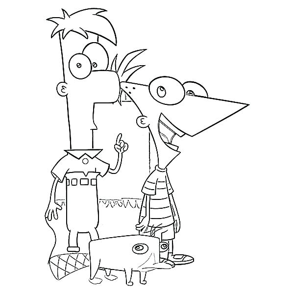 600x600 Phineas And Ferb Coloring Pages This Is And Coloring Pages