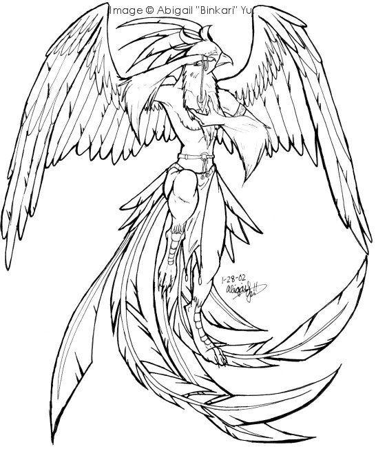 546x651 Phoenix Coloring Page Compilation Free Coloring Pages