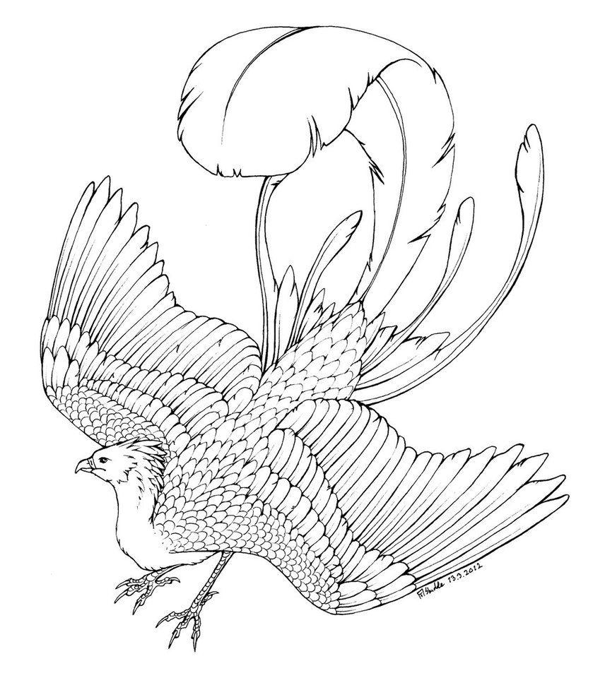 839x953 Phoenix Coloring Pages