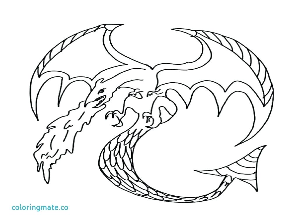 1024x768 Cute Chibi Phoenix Coloring Page Pages Flowers Roses Lovely Para