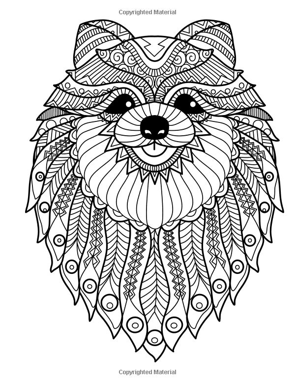 600x783 Printable Phoenix Stress Relief Coloring Pages Free
