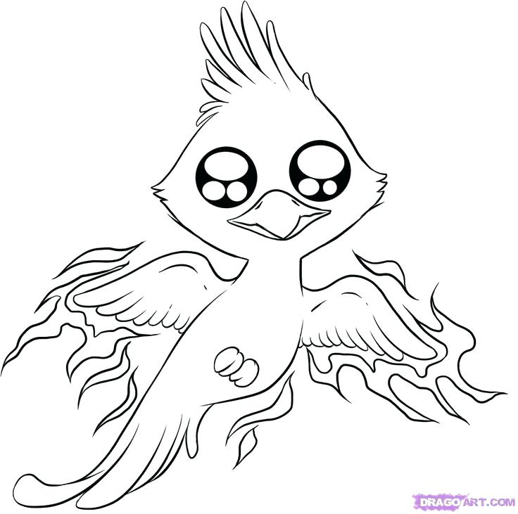 736x731 Generous Cute Phoenix Coloring Pages Contemporary Example Resume