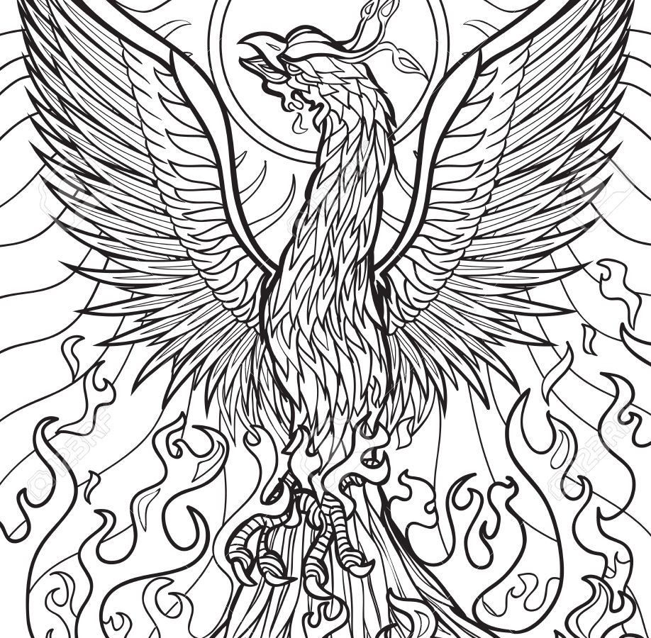 918x900 Coloring Pages Phoenix Bird Copy Phoenix Bird Coloring Page Free