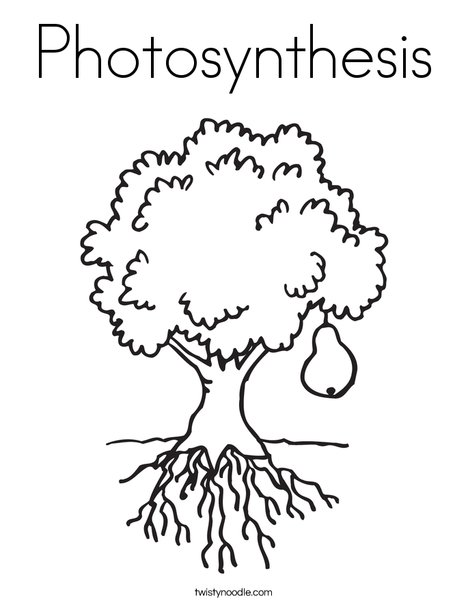 468x605 Photosynthesis Coloring Page