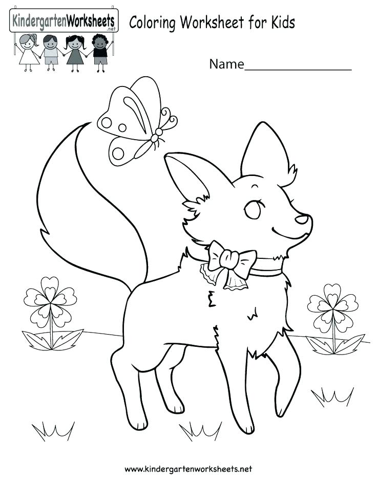 736x952 Photosynthesis Coloring Page Photosynthesis Coloring Worksheet