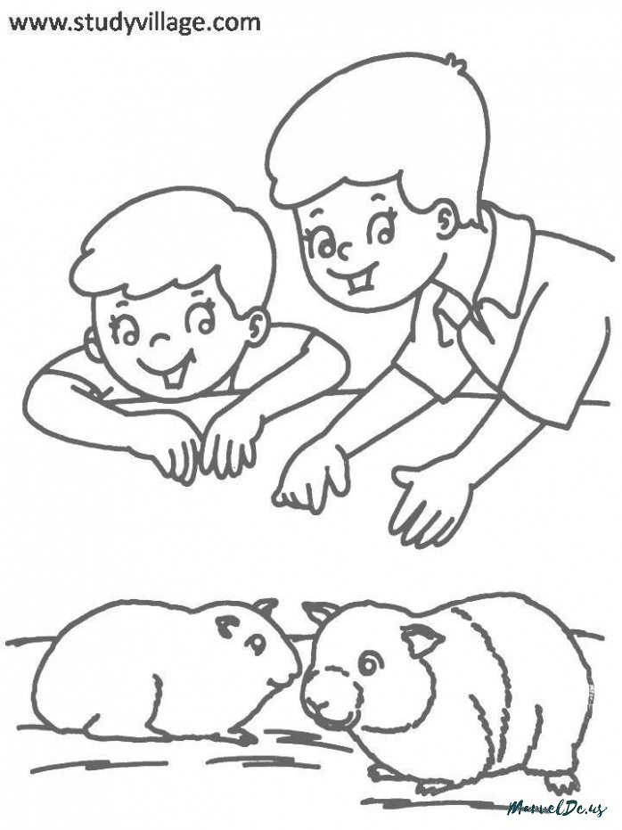 698x931 Funky Physics Coloring Book Embellishment