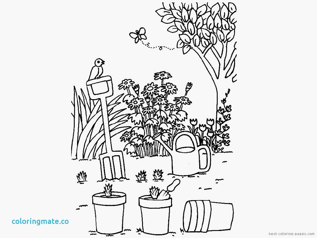 1082x811 Flower Garden Coloring Pages Beautiful Flower Garden Coloring