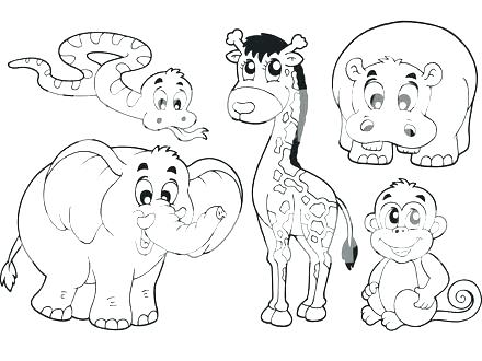 440x330 Baby Jungle Animals Coloring Pages Safari Coloring Pages Safari