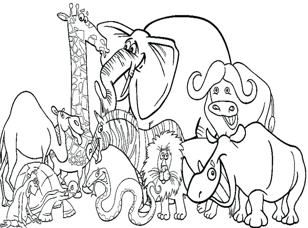 1007x745 Printable Animals Coloring Pages Zoo Animal Color Pages Many
