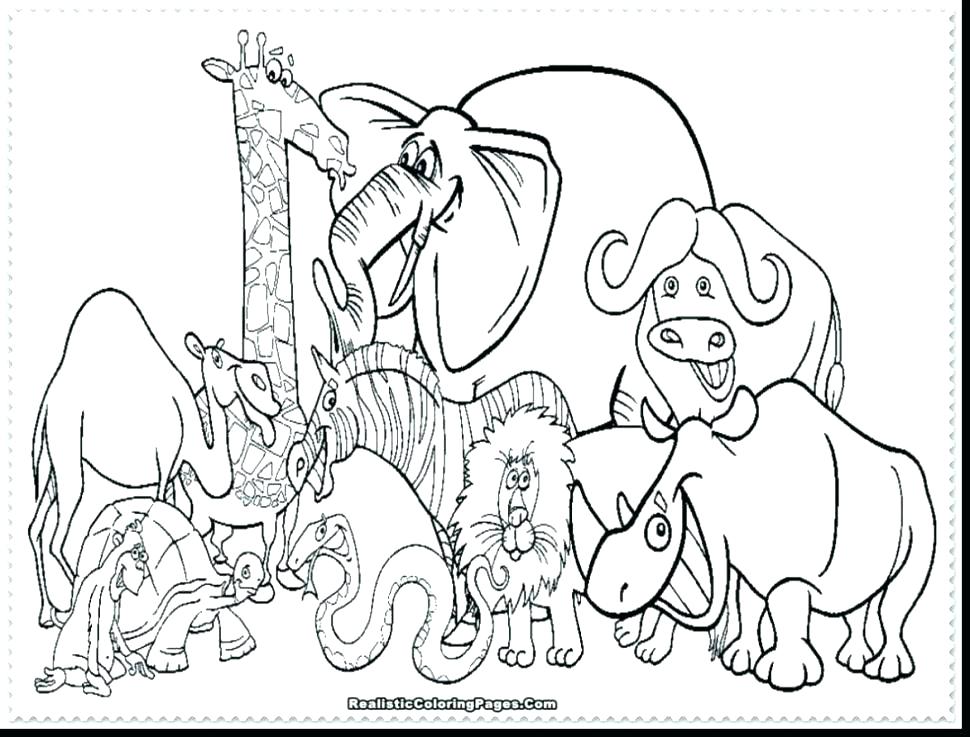 970x737 Zoo Animals Coloring Pages Games Also Peacock Seeing