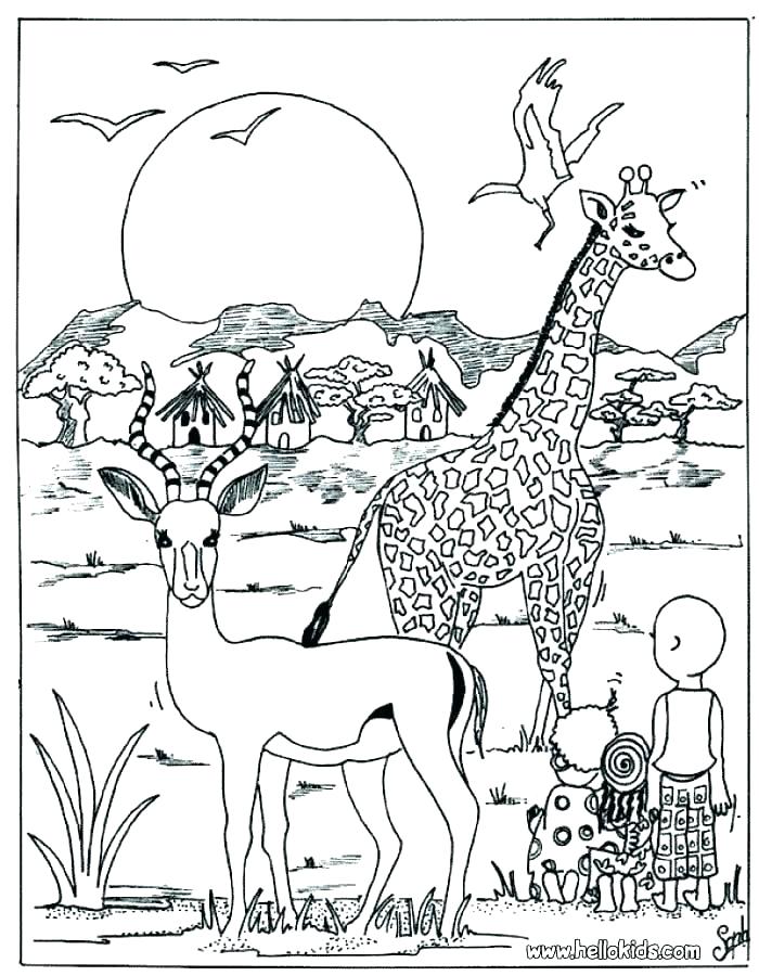 700x900 Wild Animal Coloring Pages Icontent