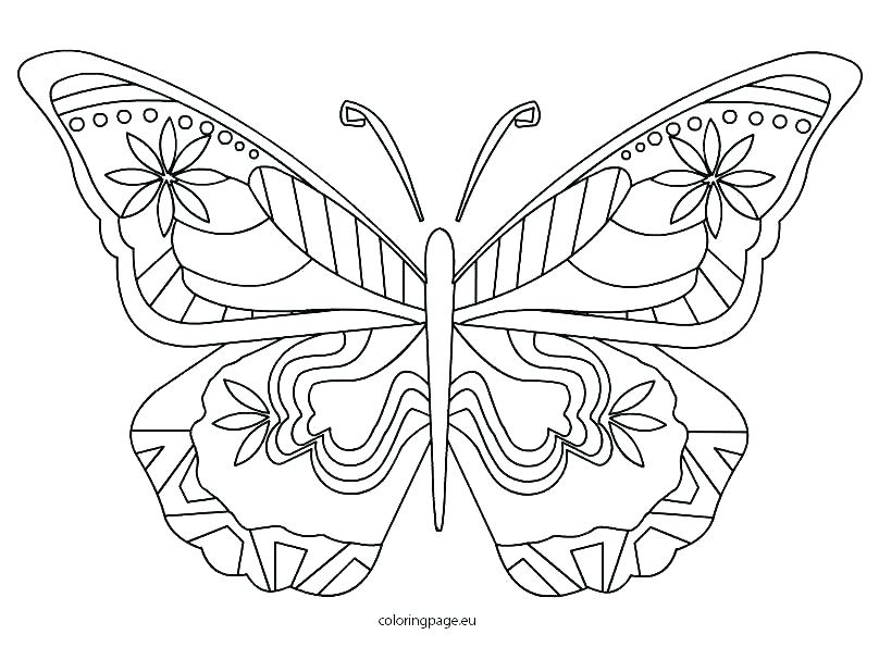 808x595 Ideas Detailed Butterfly Coloring Pages And Printable