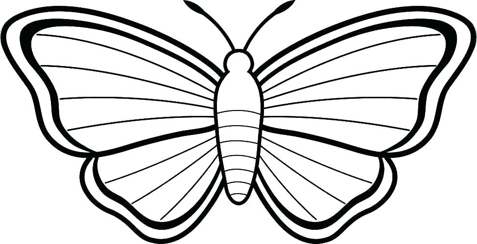 974x499 Simple Butterfly Coloring Pages