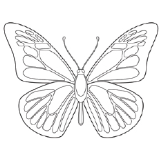 230x230 Top Free Printable Butterfly Coloring Pages Online