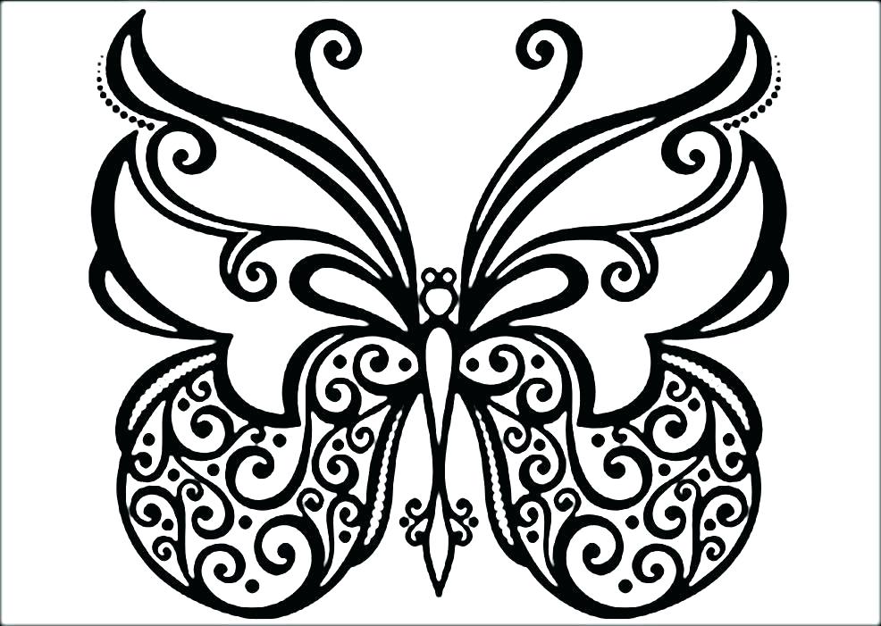 986x701 Coloring Page Butterfly