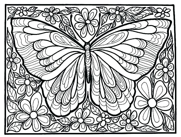 750x569 Butterflies Coloring Page Butterflies Coloring Free Coloring Pages