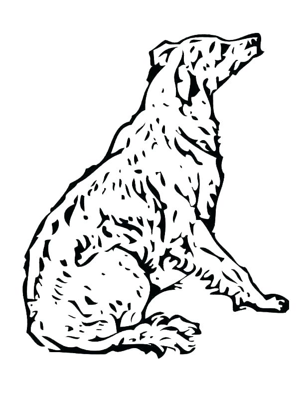 618x800 Free Coloring Pages Of Dogs