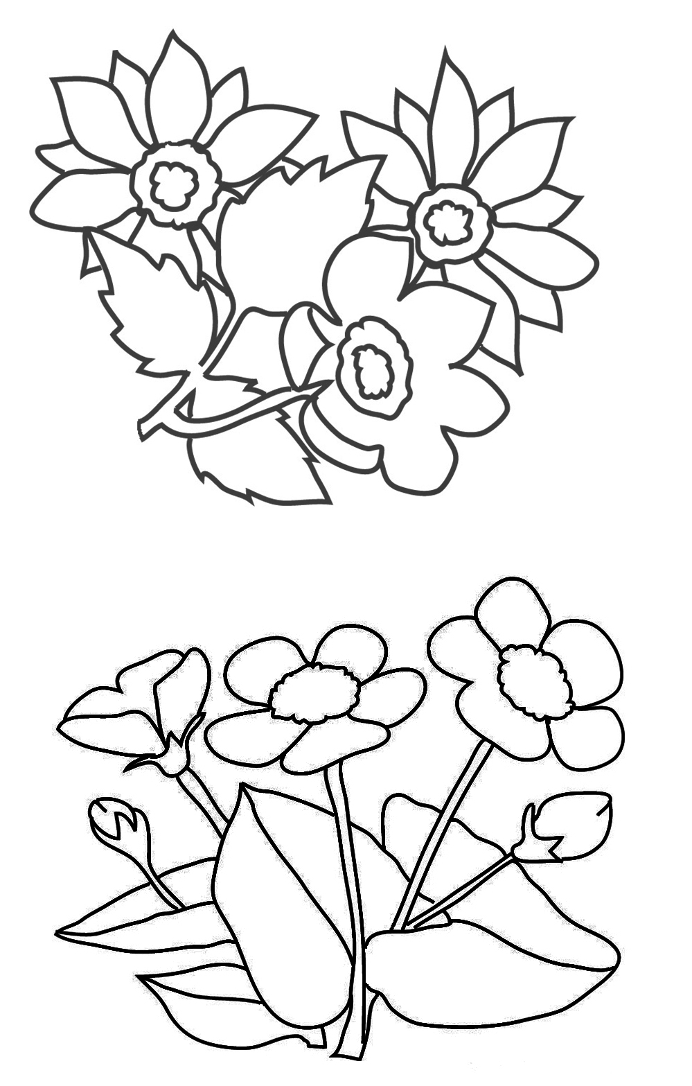 999x1567 Flower Coloring Pages