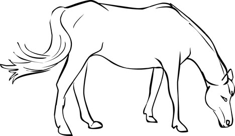 468x271 Free Horse Coloring Pages From Mustangs To Lipizzaners