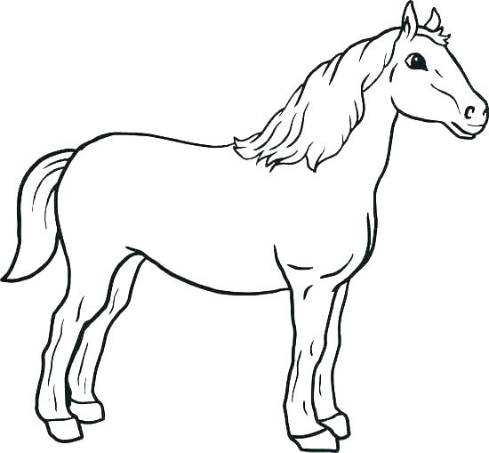 Pictures Of Horses Coloring Pages at GetDrawings | Free download