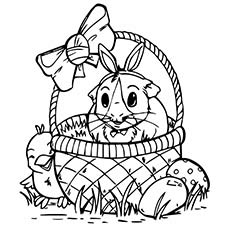 230x230 Top Free Printable Guinea Pig Coloring Pages Online