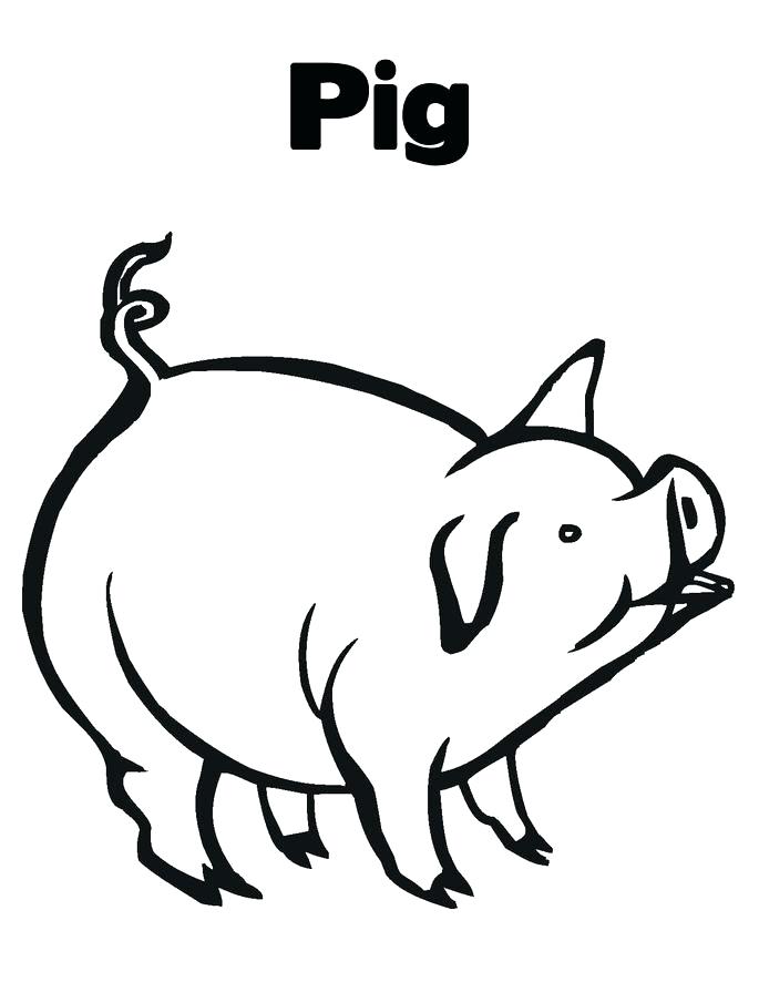 685x886 Pig Coloring Page Pig Coloring Page Pig Coloring Pages