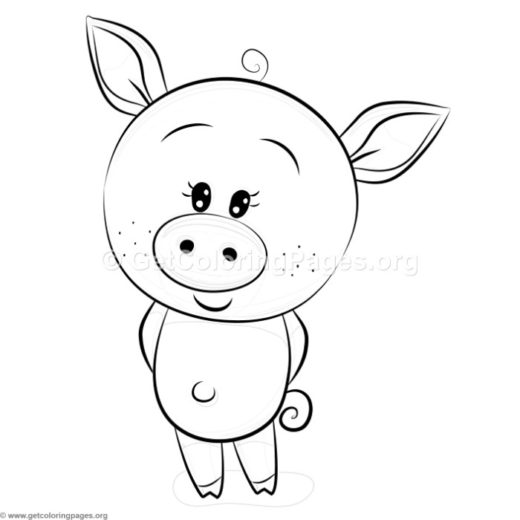 520x520 Pig Face Coloring Page
