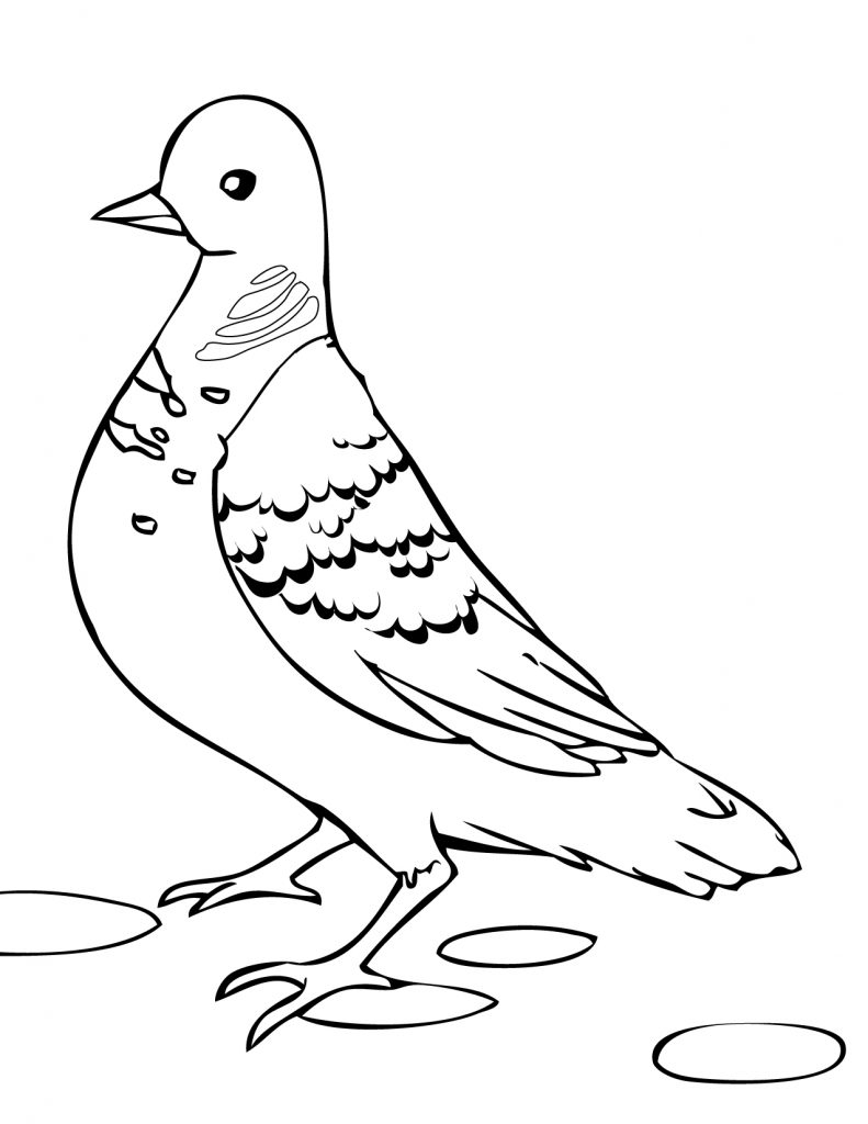 791x1024 Awesome Pigeons Coloring Pages Collection Printable Coloring Sheet