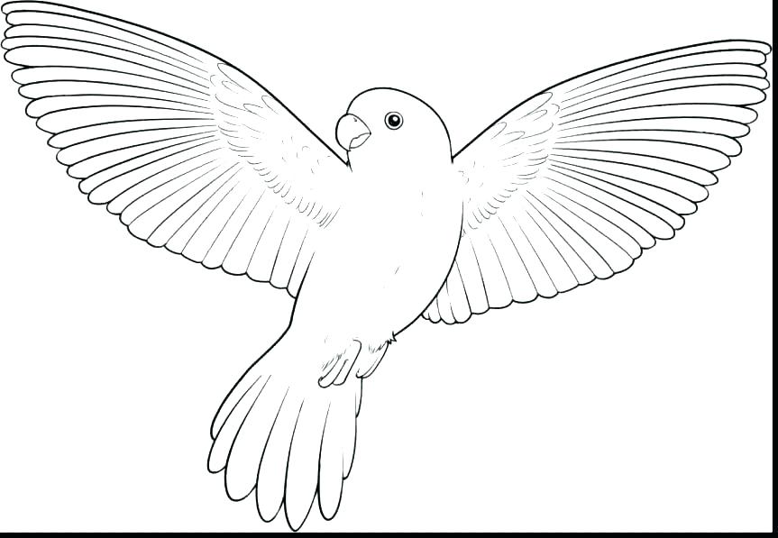 863x597 Coloring Page Bird Cool Design Ideas Pigeon Coloring Pages Flying