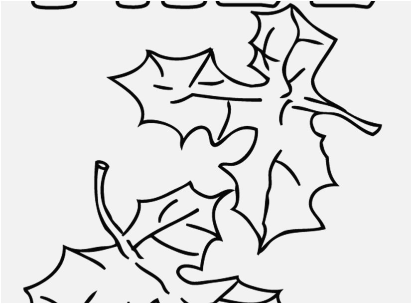 827x609 Leaf Coloring Pages Concept Elegant Image Leaves Coloring Pages