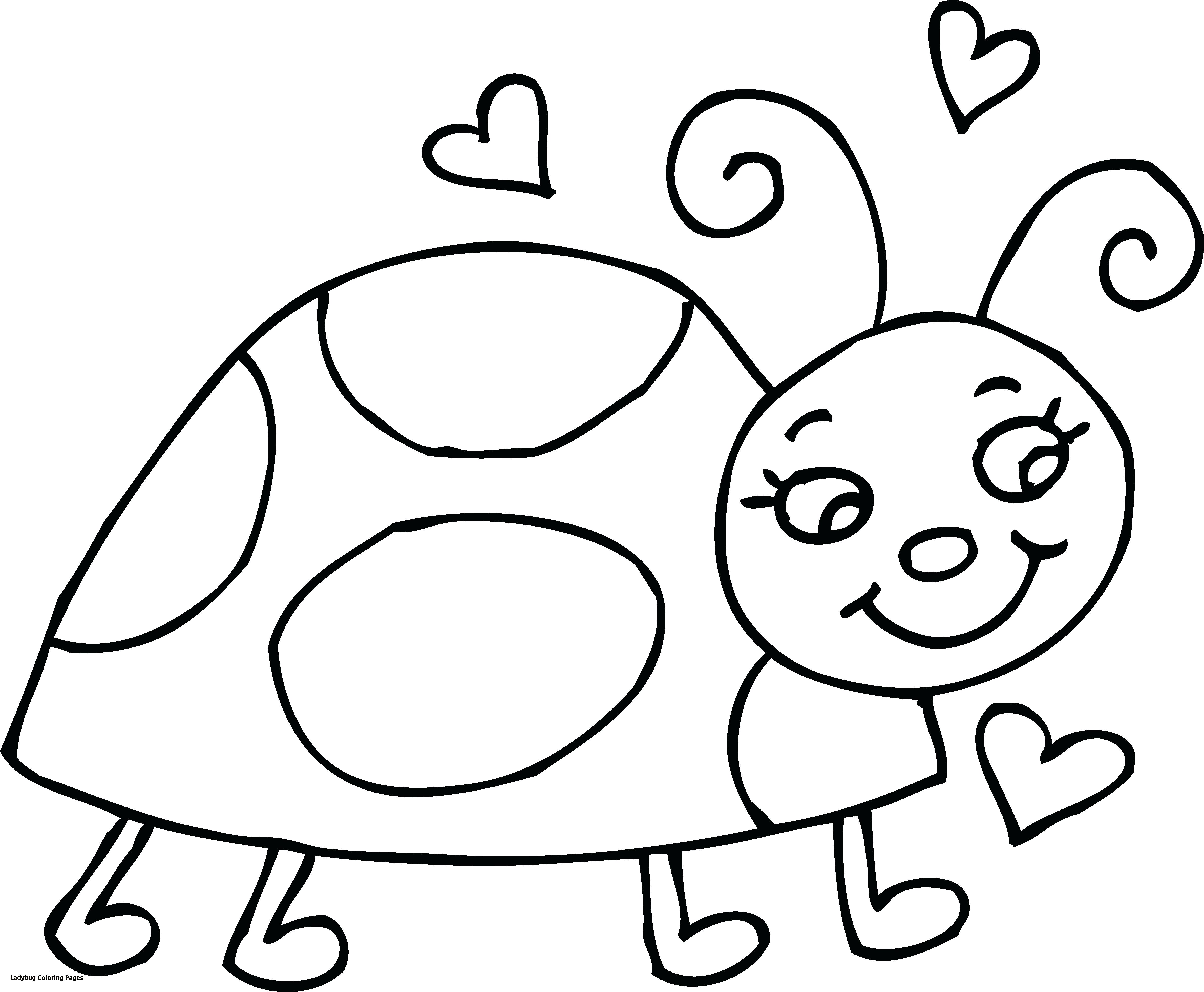 4759x3919 Lavishly Pill Bug Coloring Page New Sheet Cool Ideas For You
