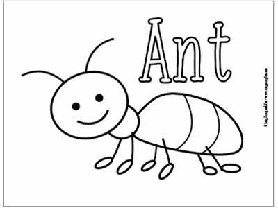 400x300 Little Bugs Coloring Pages For Kids