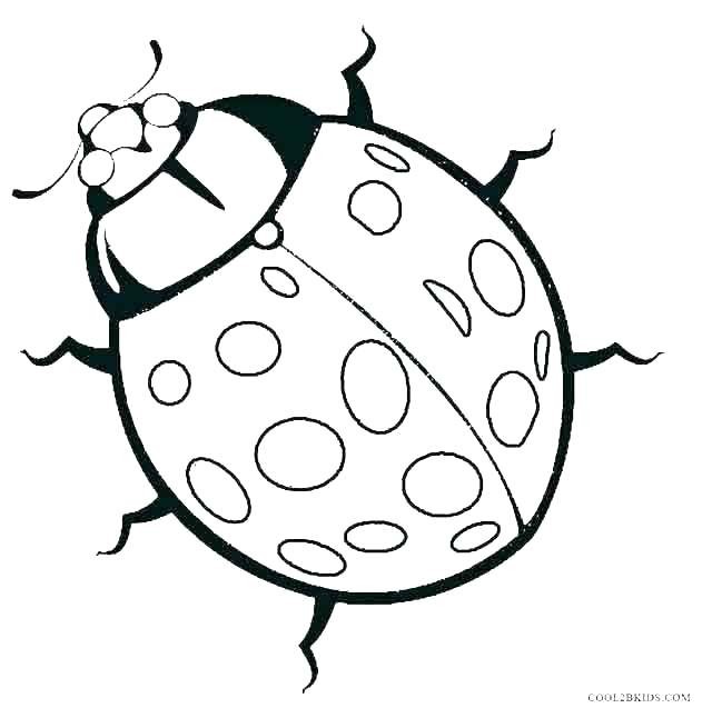 640x646 Pill Bug Coloring Page Beautiful The Best Bugs Coloring Page