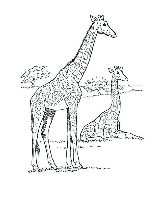 670x820 Countries Coloring Pages Coloring Page Pin Coloring Page N