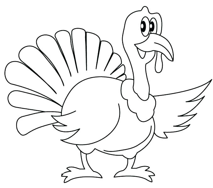 678x600 Turkey Coloring Pages For Preschoolers Free Printable Pine Cone