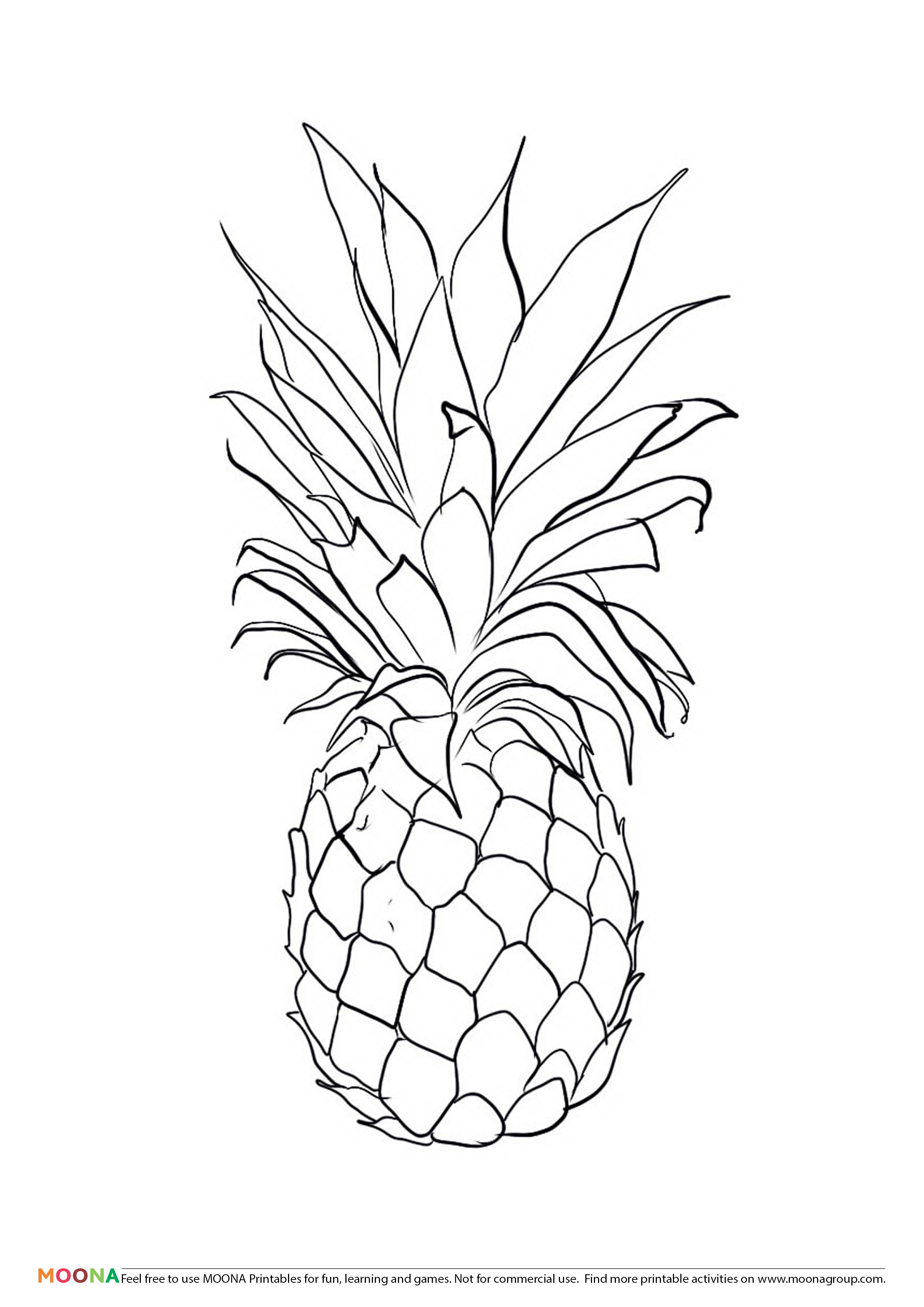2480x3508 Summer Clothing Is A Part Of Our Huge Collection Of Coloring Pages