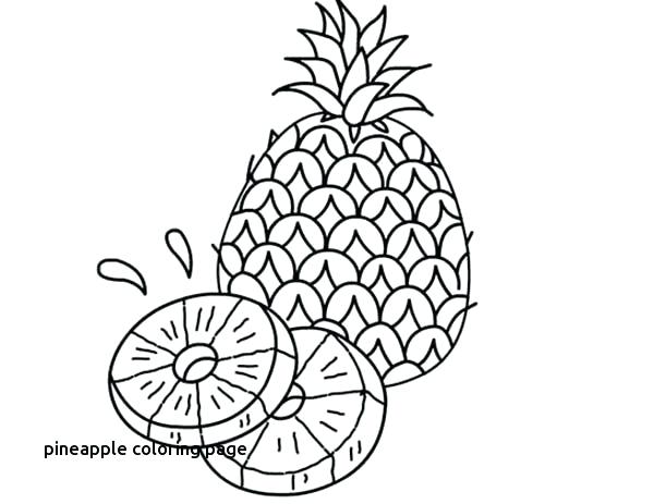 600x463 Pineapple Coloring Page